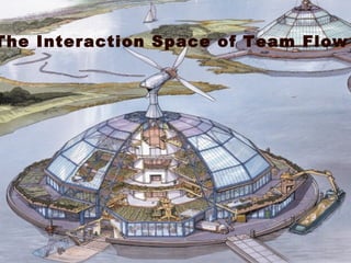 University of Applied Sciences The Interaction Space of Team Flow 