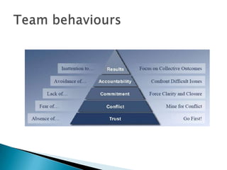 Team behaviours