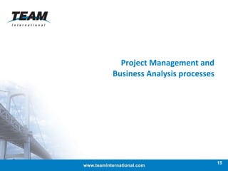 Project Management and Business Analysis processes 