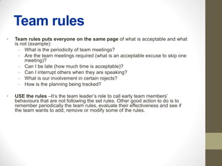 Team Rule Examples Basic Team management | PDF
