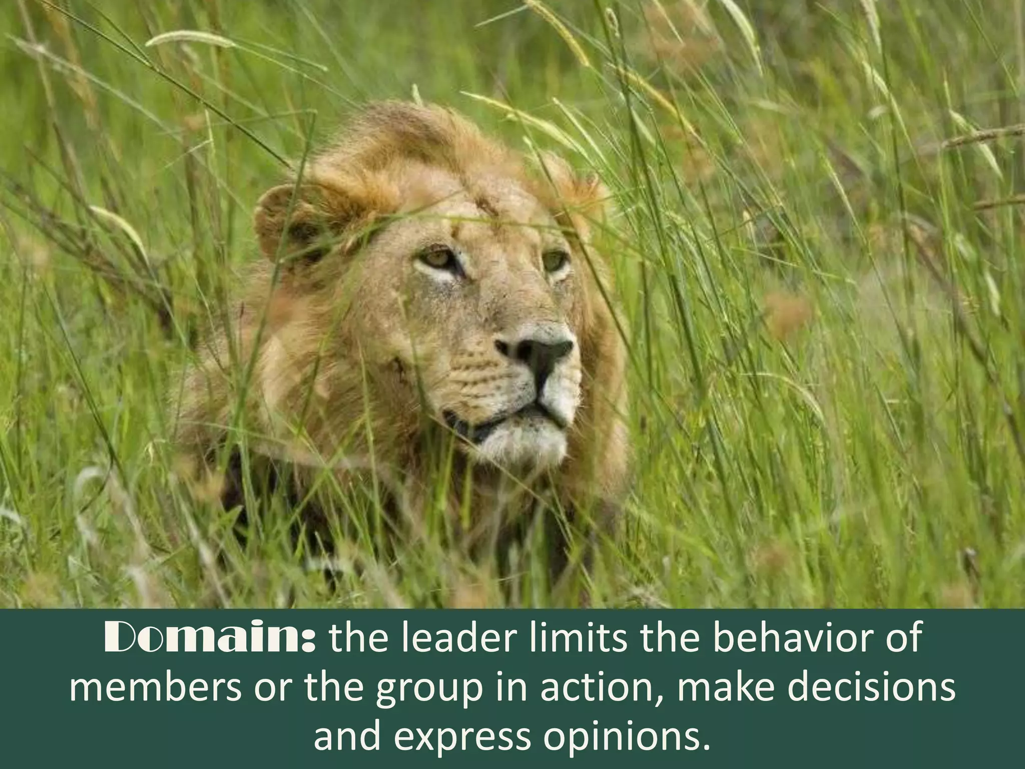 Domain: the leader limits the behavior of
members or the group in action, make decisions
            and express opinions.
 