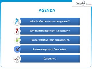 AGENDA
Conclusion.
What is effective team management?
Why team management is necessary?
Tips for effective team management...