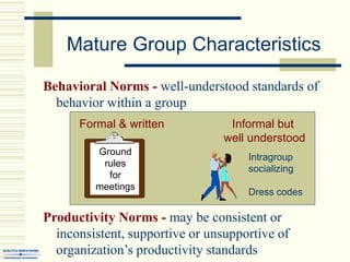 Productivity Norms - may be consistent or
inconsistent, supportive or unsupportive of
organization’s productivity standards
Mature Group Characteristics
Behavioral Norms - well-understood standards of
behavior within a group
Formal & written
Ground
rules
for
meetings
Informal but
well understood
Intragroup
socializing
Dress codes
 