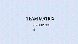 TEAM MATRIX
GROUP NO:
9
 