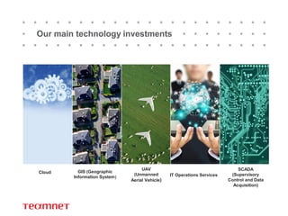 Teamnet Group - Structure of the Group | PDF