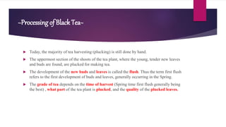 ~Processing of Black Tea~
 Today, the majority of tea harvesting (plucking) is still done by hand.
 The uppermost section of the shoots of the tea plant, where the young, tender new leaves
and buds are found, are plucked for making tea.
 The development of the new buds and leaves is called the flush. Thus the term first flush
refers to the first development of buds and leaves, generally occurring in the Spring.
 The grade of tea depends on the time of harvest (Spring time first flush generally being
the best) , what part of the tea plant is plucked, and the quality of the plucked leaves.
 