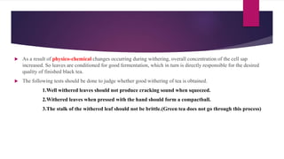  As a result of physico-chemical changes occurring during withering, overall concentration of the cell sap
increased. So leaves are conditioned for good fermentation, which in turn is directly responsible for the desired
quality of finished black tea.
 The following tests should be done to judge whether good withering of tea is obtained.
1.Well withered leaves should not produce cracking sound when squeezed.
2.Withered leaves when pressed with the hand should form a compactball.
3.The stalk of the withered leaf should not be brittle.(Green tea does not go through this process)
 