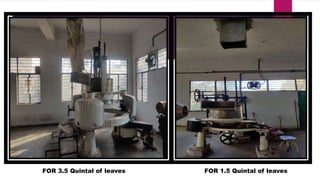 FOR 3.5 Quintal of leaves FOR 1.5 Quintal of leaves
 
