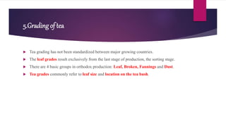 5.Grading of tea
 Tea grading has not been standardized between major growing countries.
 The leaf grades result exclusively from the last stage of production, the sorting stage.
 There are 4 basic groups in orthodox production: Leaf, Broken, Fannings and Dust.
 Tea grades commonly refer to leaf size and location on the tea bush.
 
