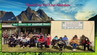 Types of Tea and their Processing Methods