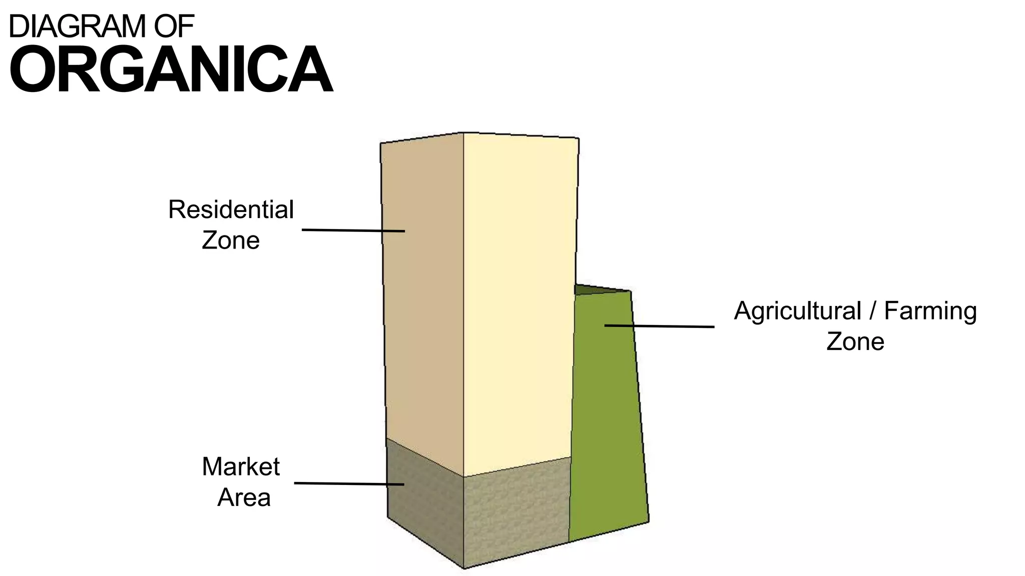 DIAGRAM OF
ORGANICA
Residential
Zone
Agricultural / Farming
Zone
Market
Area
 