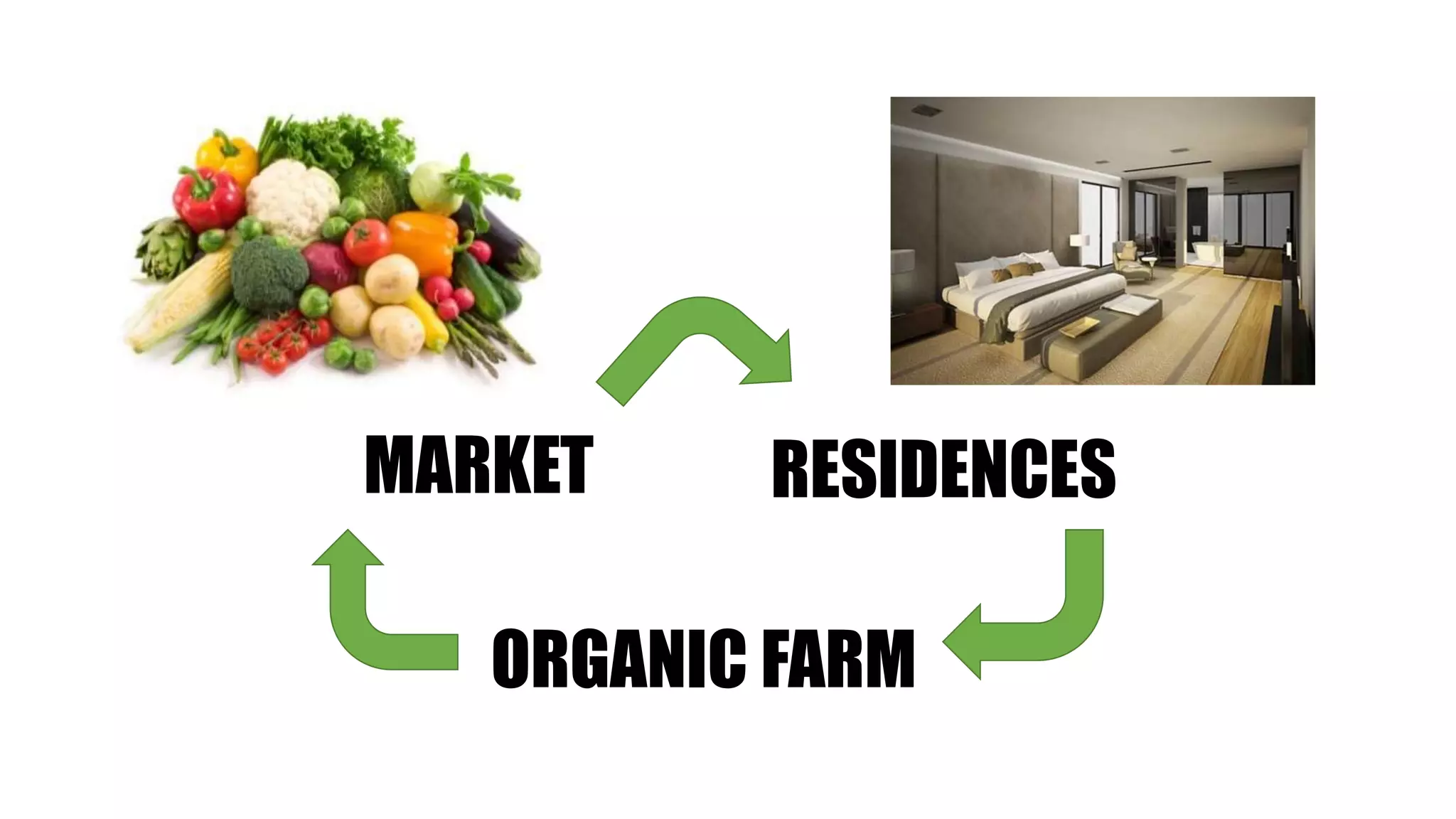 RESIDENCES
ORGANIC FARM
MARKET
 