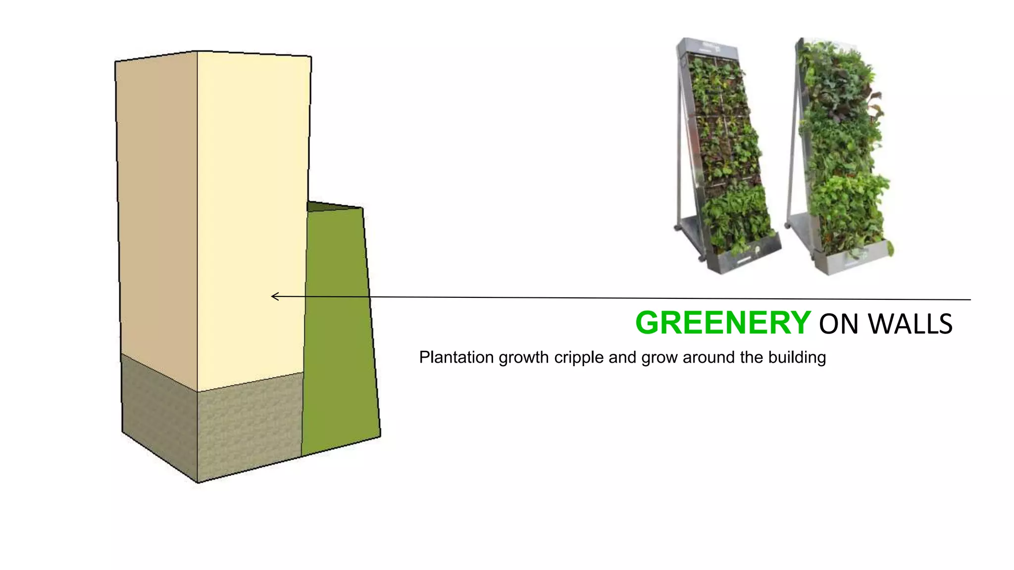 GREENERY ON WALLS
Plantation growth cripple and grow around the building
 