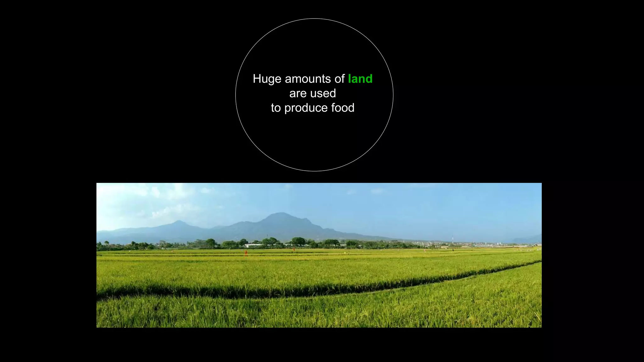 Huge amounts of land
are used
to produce food
 