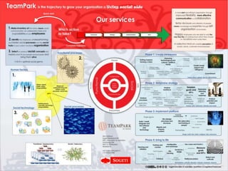 TeamPark®is the trajectory to grow your organizationaliving social sideawarenessstrategyimplementationaliveA pattern consisting of 4 different phases, which can be incremented or iterated