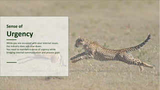 Sense of
Urgency
While you are occupied with your internal issues,
the industry does not slow down.
You need to maintain a sense of urgency while
bridging internal communication and process gaps.
 