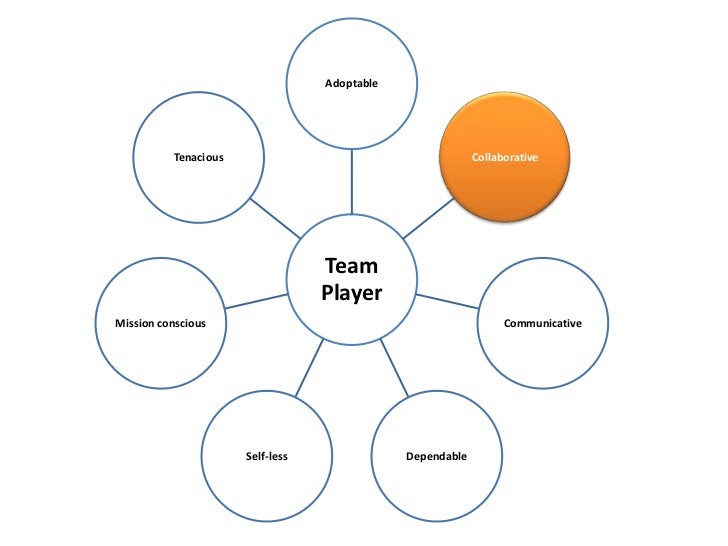 7 Characteristics of a Team Player