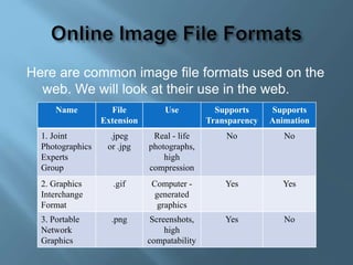 Computer Image Web File Imaging and Design for Online Environment | PPTX