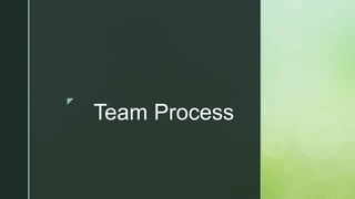 z
Team Process
 