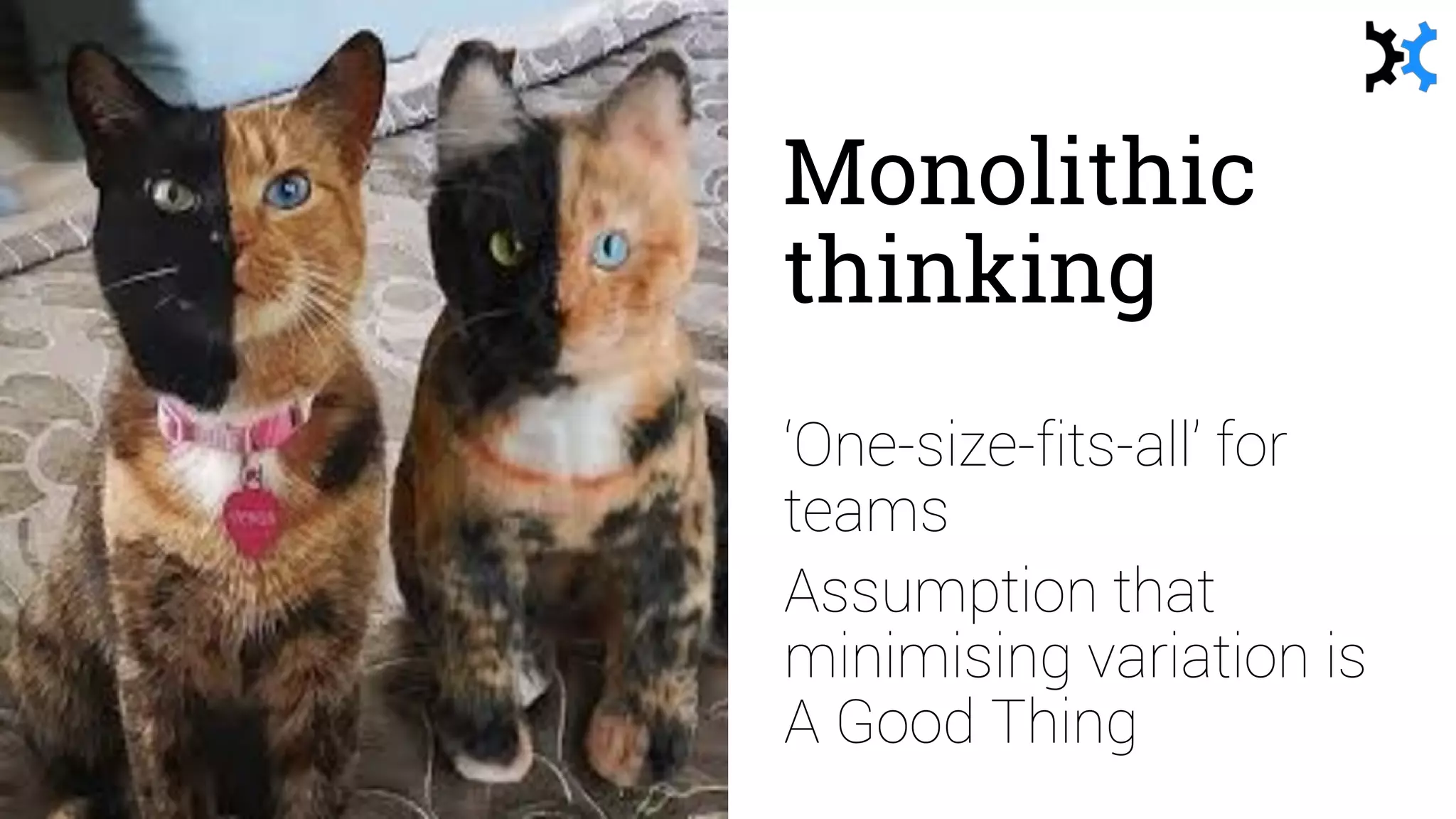 Monolithic
thinking
‘One-size-fits-all’ for
teams
Assumption that
minimising variation is
A Good Thing
 