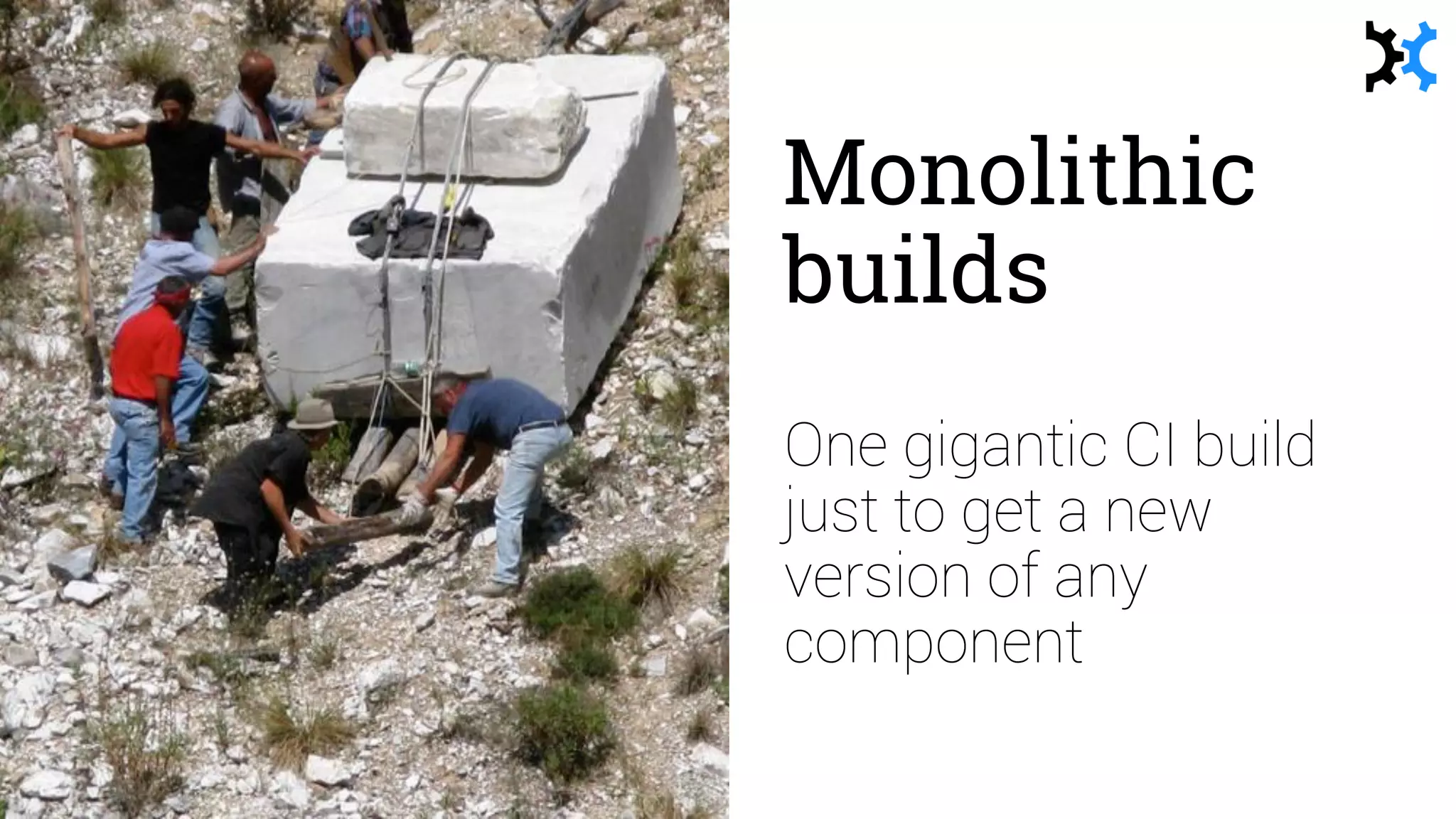 Monolithic
builds
One gigantic CI build
just to get a new
version of any
component
 