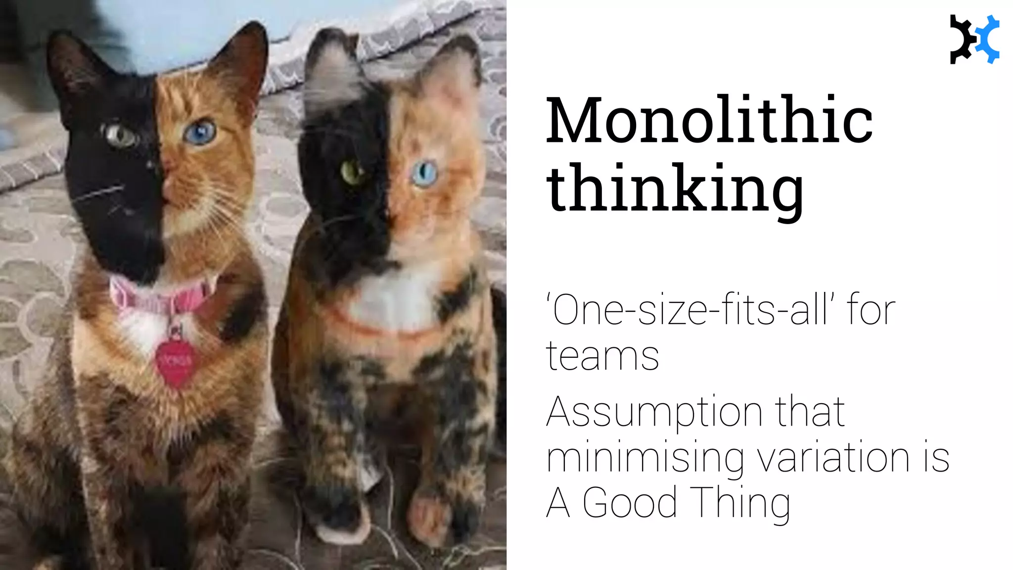Monolithic
thinking
‘One-size-fits-all’ for
teams
Assumption that
minimising variation is
A Good Thing
 