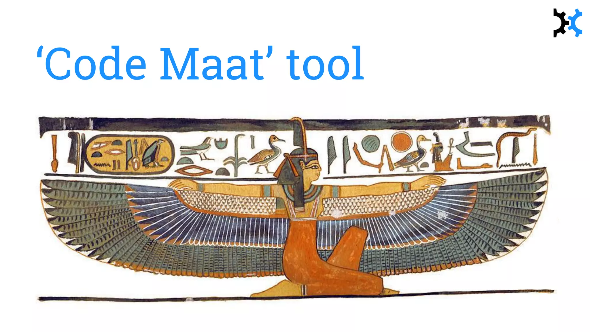 ‘Code Maat’ tool
 