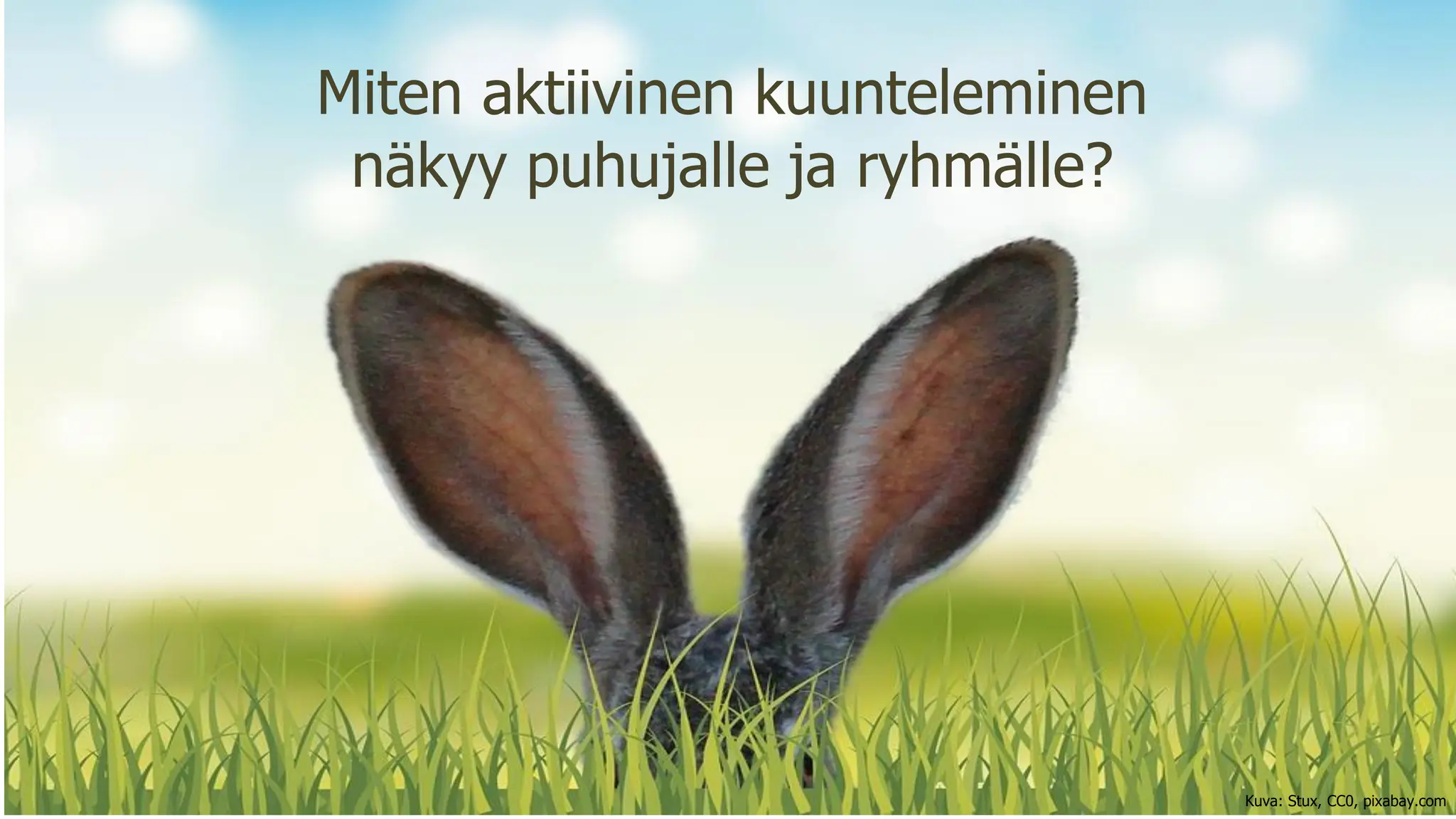 Miten aktiivinen kuunteleminen
näkyy puhujalle ja ryhmälle?
Kuva: Stux, CC0, pixabay.com
 