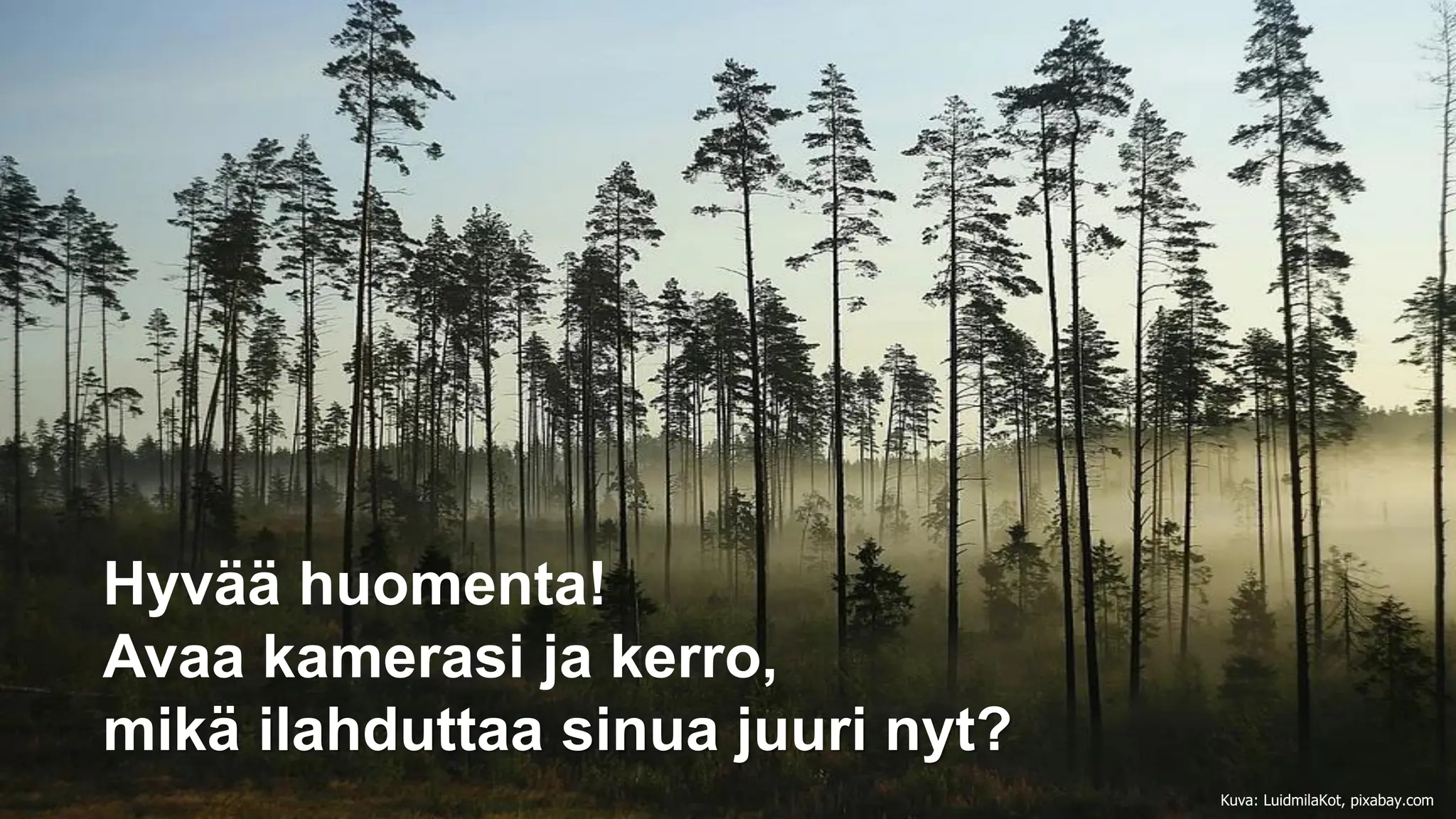 Hyvää huomenta!
Avaa kamerasi ja kerro,
mikä ilahduttaa sinua juuri nyt?
Kuva: LuidmilaKot, pixabay.com
 