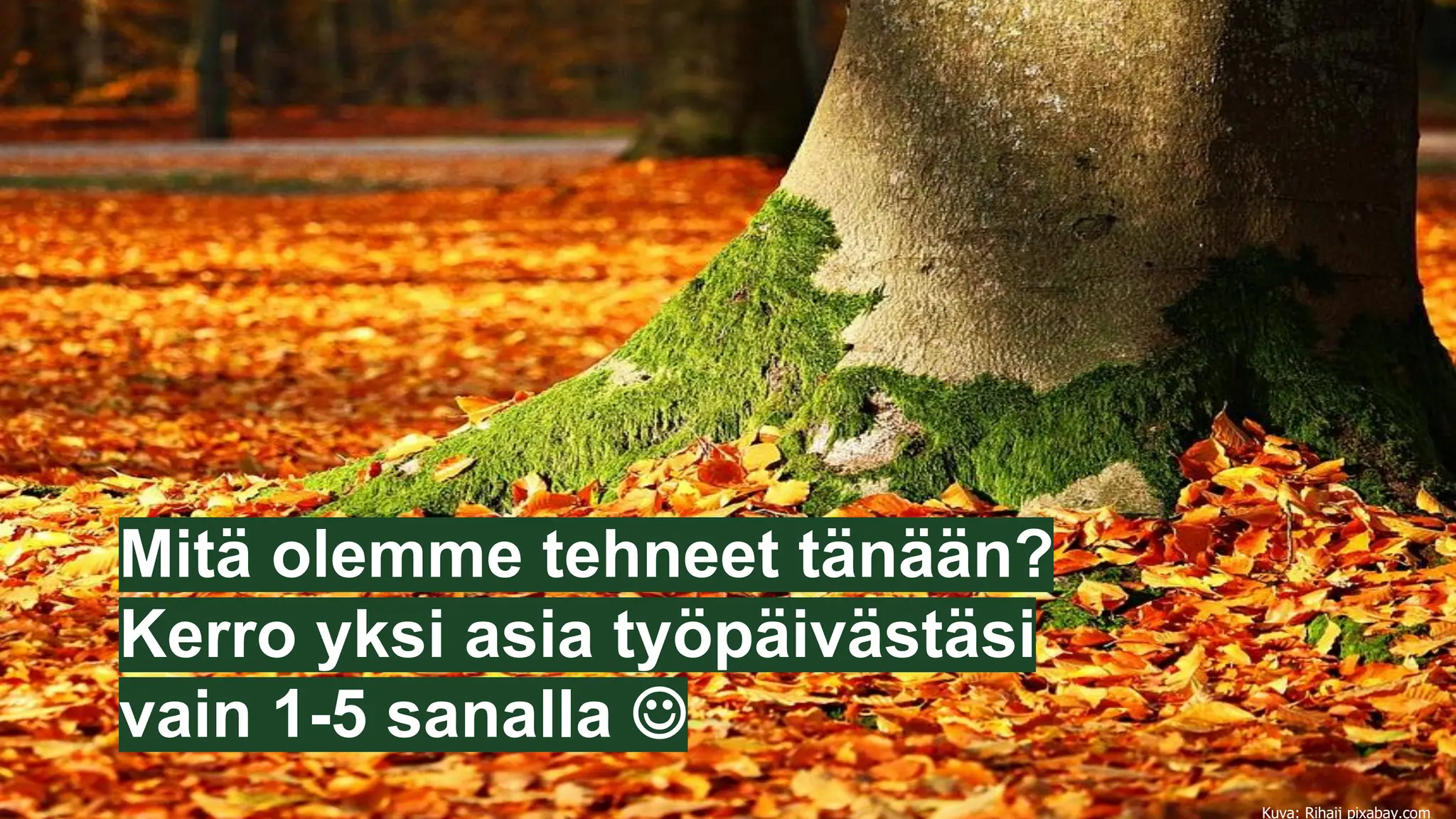 Mitä olemme tehneet tänään?
Kerro yksi asia työpäivästäsi
vain 1-5 sanalla ☺
Kuva: Rihaij pixabay.com
 