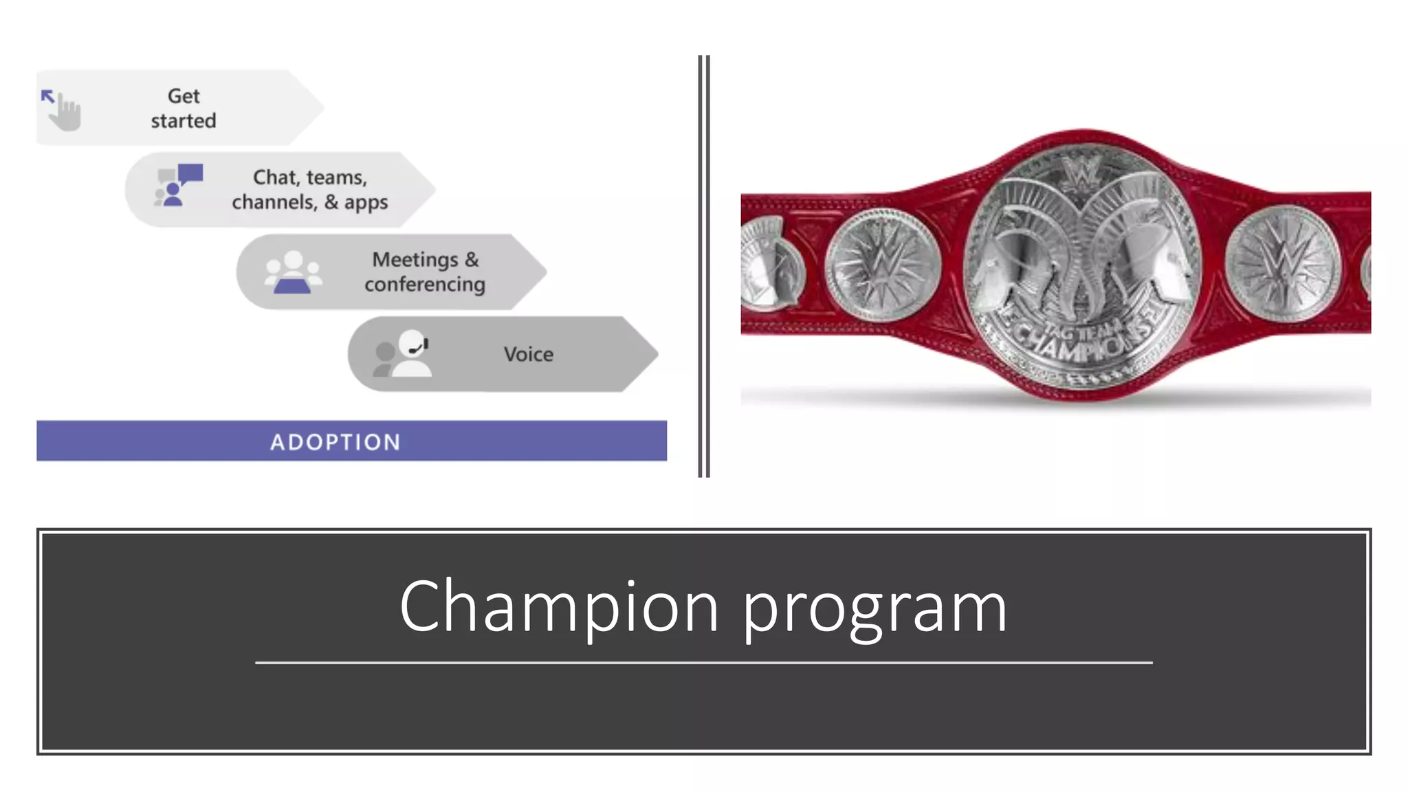 Champion program
 