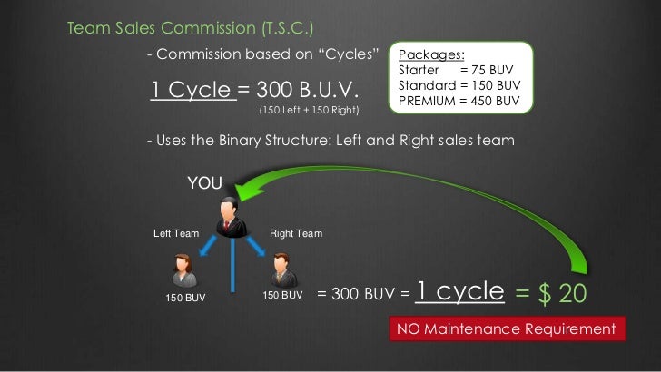standard sales commission