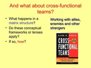 And what about cross-functional teams? What happens in a  matrix structure ? Do these conceptual frameworks or lenses apply? If so,  how ? Working with allies, enemies and other strangers 