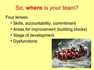 So,  where  is  your  team? Four lenses: Skills, accountability, commitment  Areas for improvement (building blocks) Stage of development Dysfunctions   © Lida Salatian – Fotolia.com   