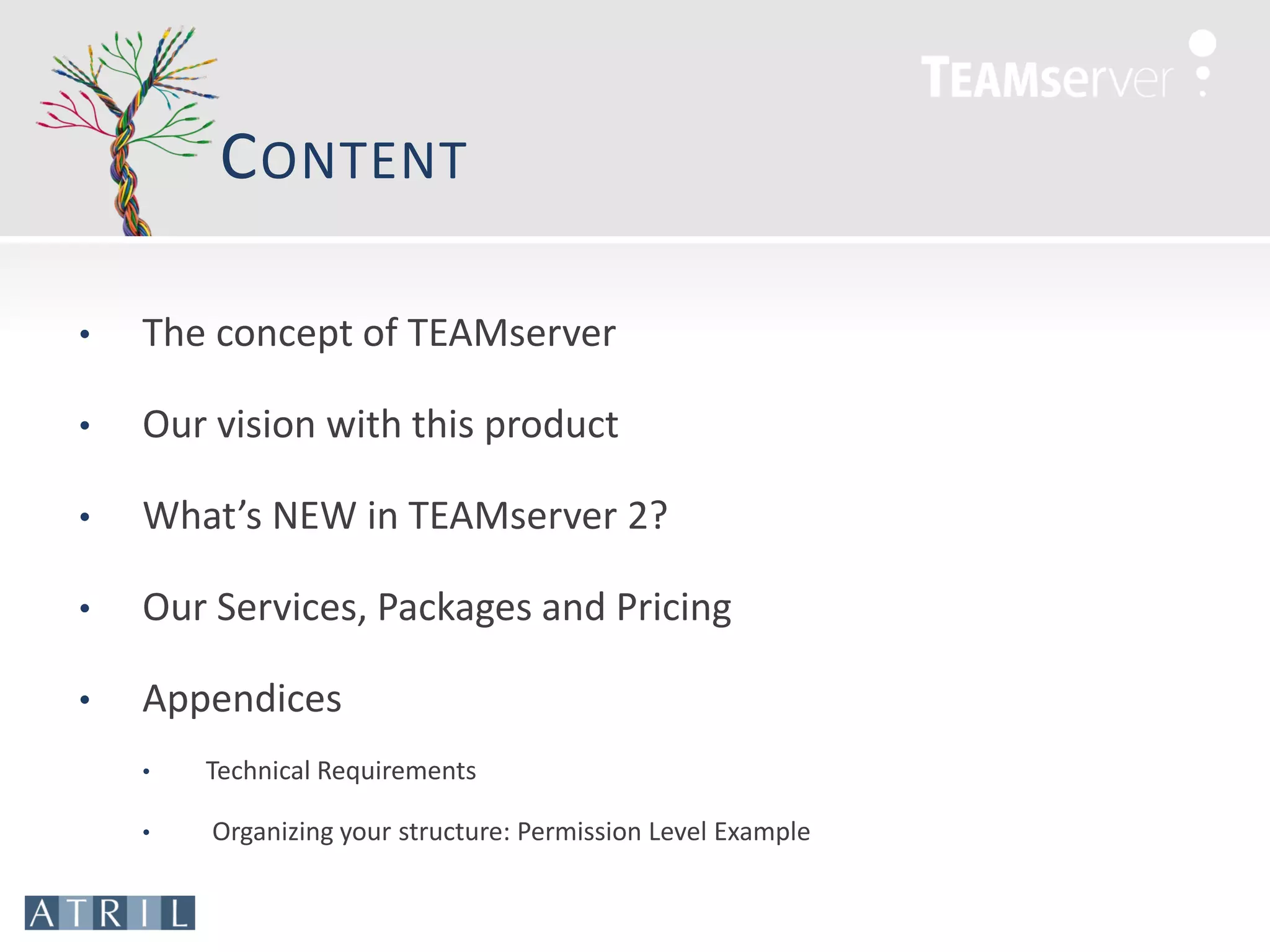 C ONTENT

•   The concept of TEAMserver

•   Our vision with this product

•   What’s NEW in TEAMserver 2?

•   Our Services, Packages and Pricing

•   Appendices
    •   Technical Requirements

    •   Organizing your structure: Permission Level Example
 