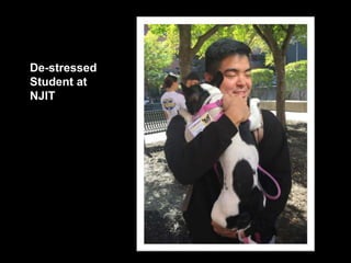 De-stressed
Student at
NJIT
 