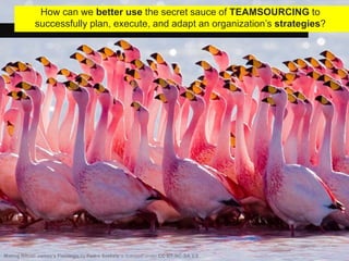 How can we better use the secret sauce of TEAMSOURCING to
successfully plan, execute, and adapt an organization’s strategies?
 