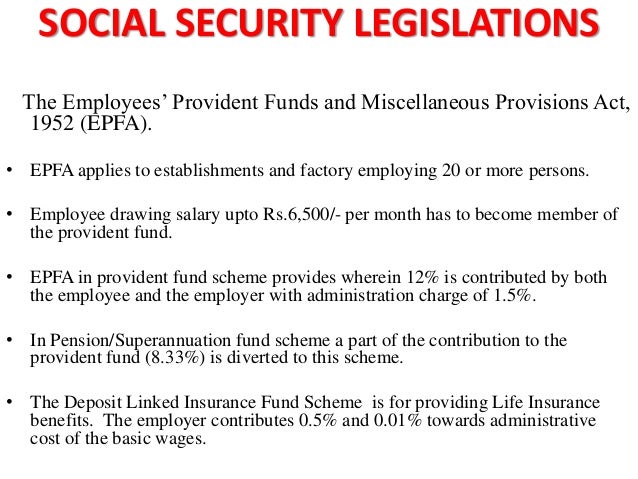 Business economics degree image