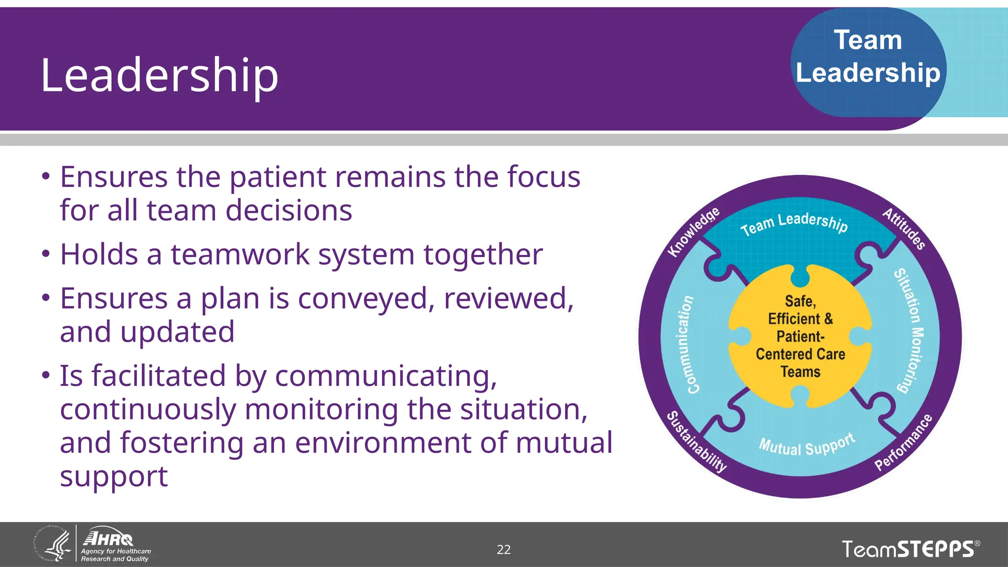 Understanding Teams and Team Structure teamstepps-module-2-slides.pptx