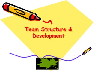 Team Structure &
Development

 
