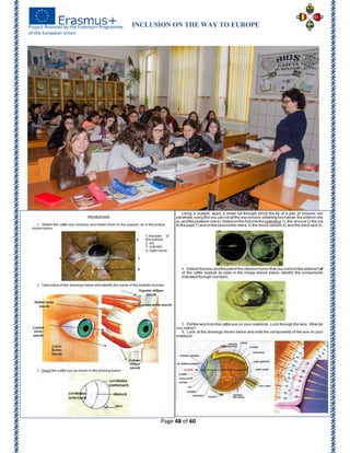 INCLUSION ON THE WAY TO EUROPE
Page 48 of 60
 