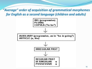 "Average" order of acquisition of grammatical morphemes
for English as a second language (children and adults)
16
 