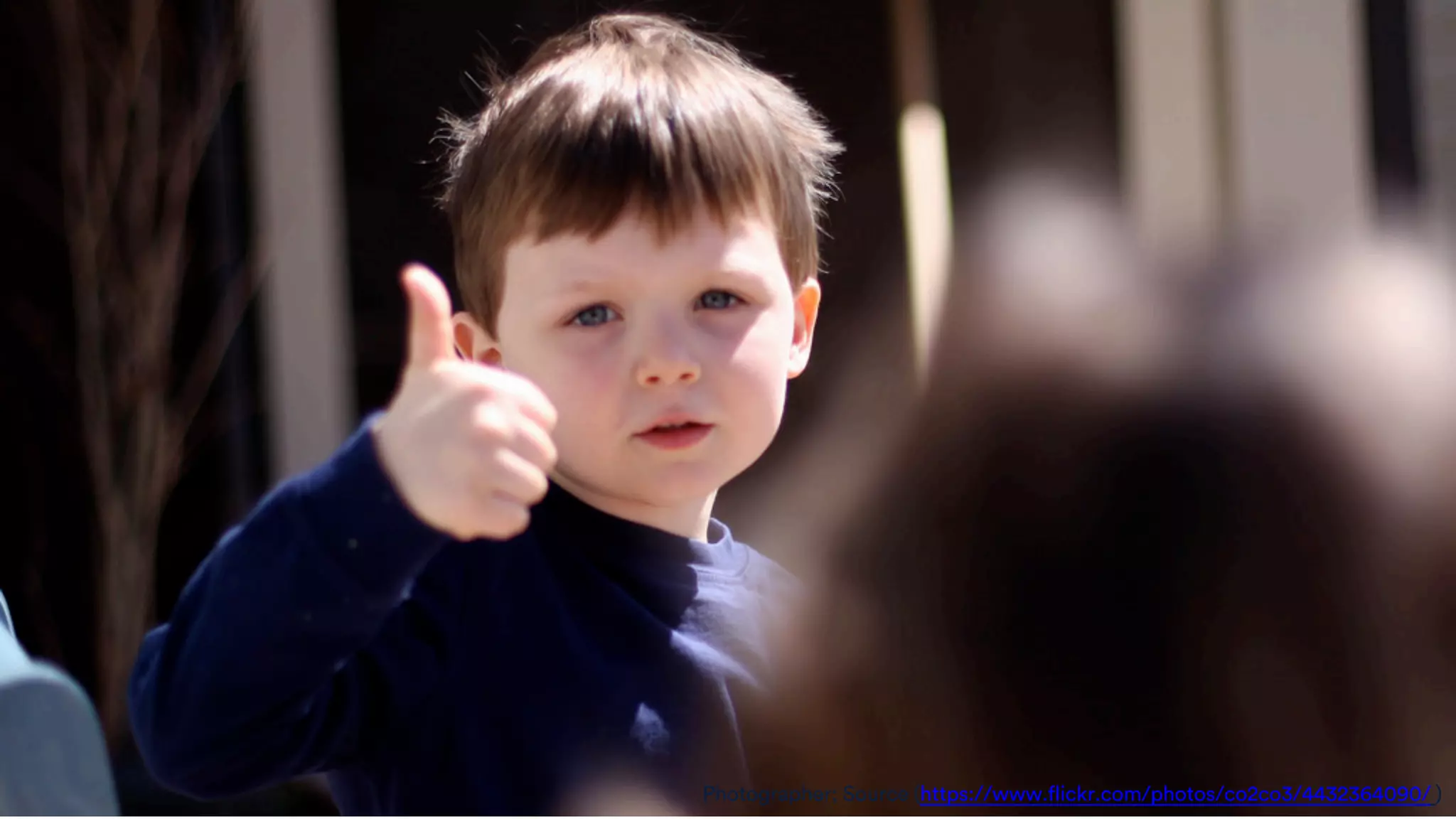 Photographer; Source (https://www.flickr.com/photos/co2co3/4432364090/ )
 