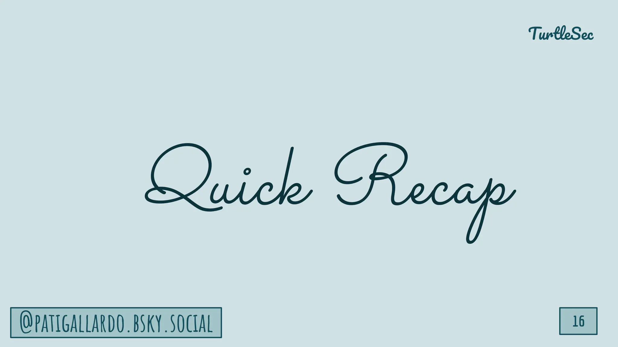 TurtleSec
16
@patigallardo.bsky.social
Quick Recap
 