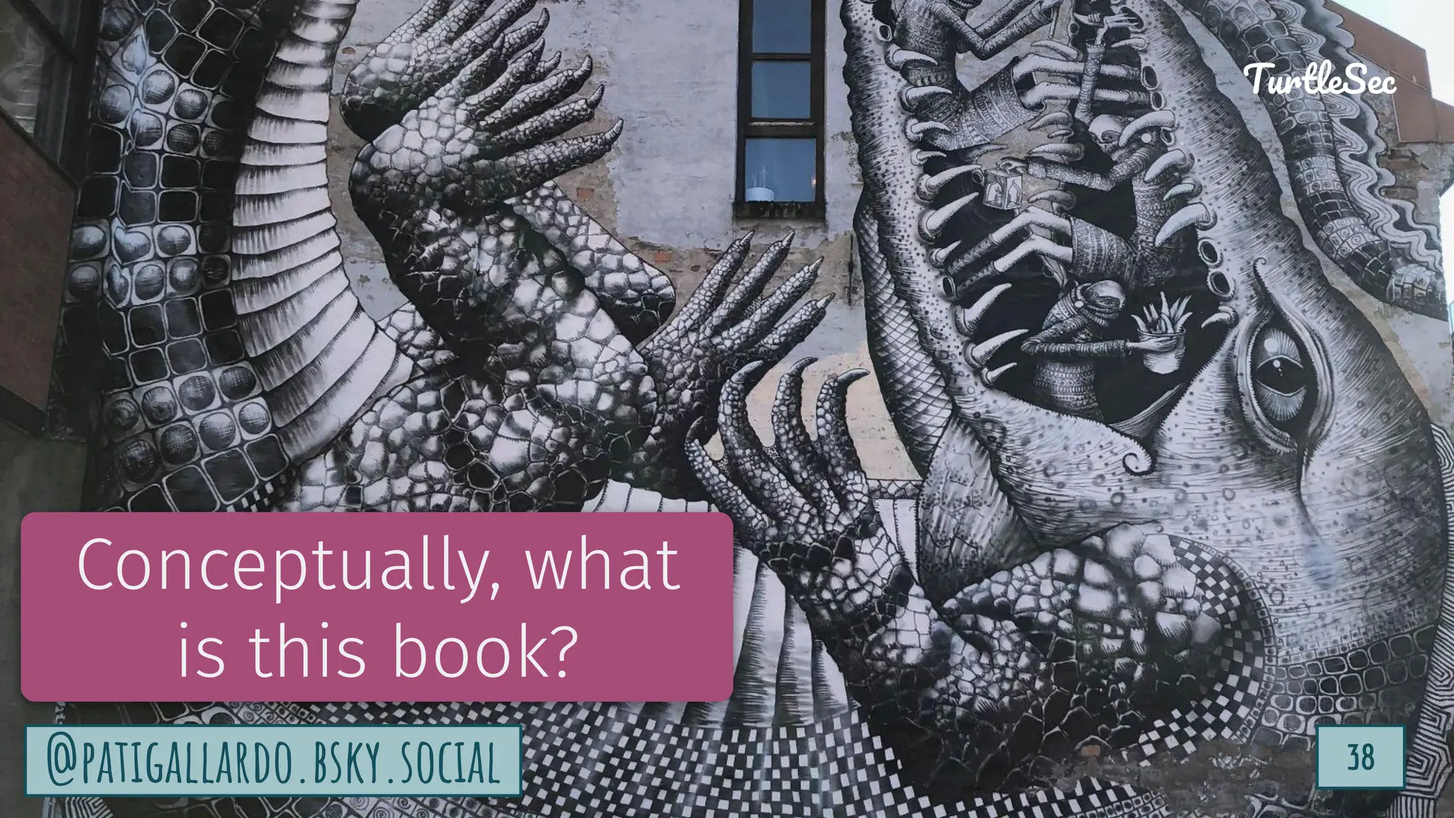 TurtleSec
38
@patigallardo.bsky.social
Conceptually, what
is this book?
38
TurtleSec
@patigallardo.bsky.social
 