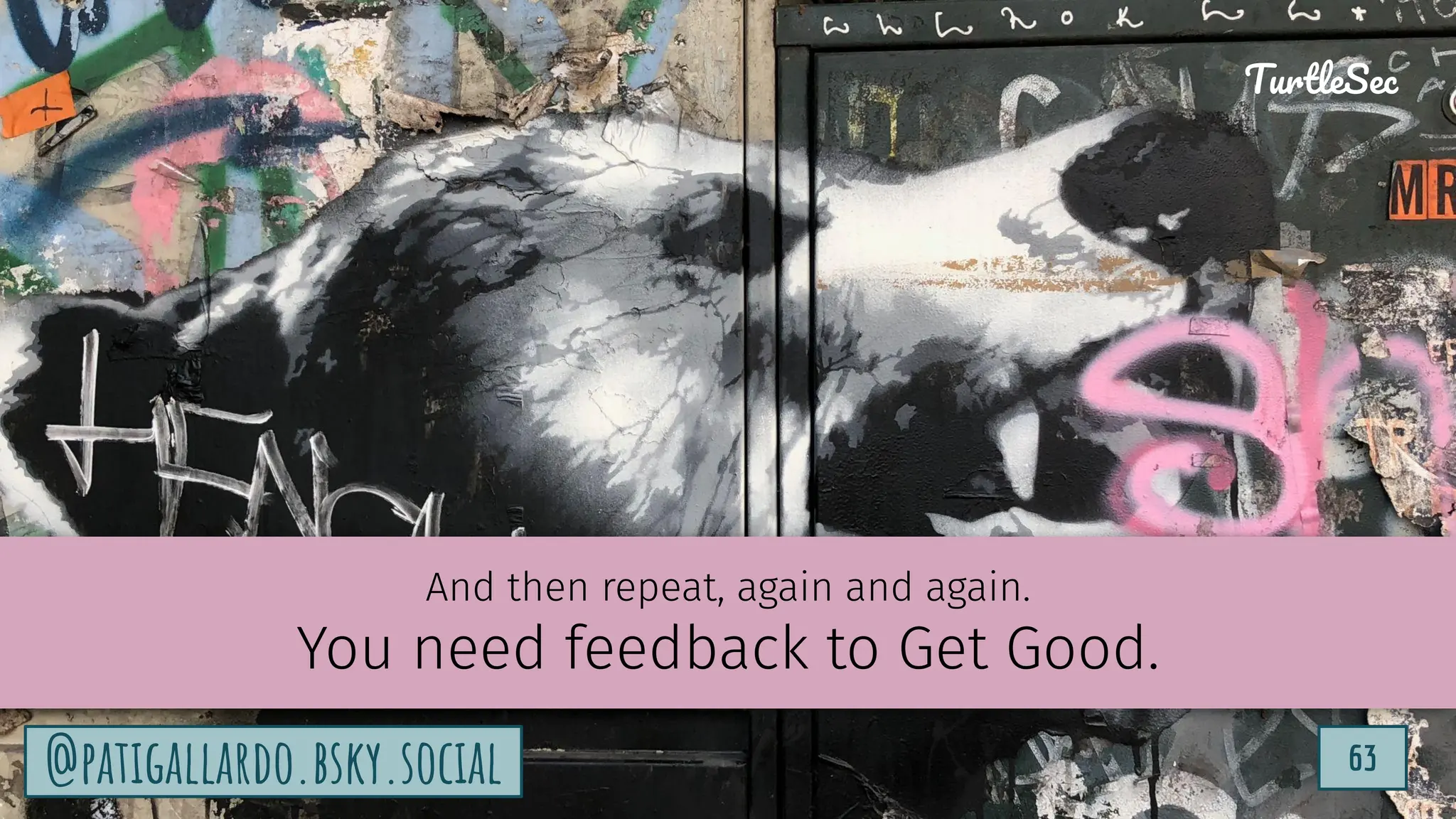 TurtleSec
63
@patigallardo.bsky.social 63
TurtleSec
@patigallardo.bsky.social
And then repeat, again and again.
You need feedback to Get Good.
 