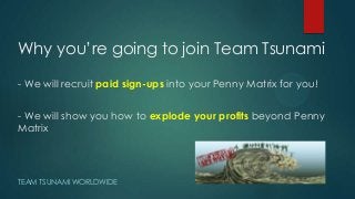 Why you’re going to join Team Tsunami
- We will recruit paid sign-ups into your Penny Matrix for you!
- We will show you how to explode your profits beyond Penny
Matrix
TEAM TSUNAMI WORLDWIDE
 