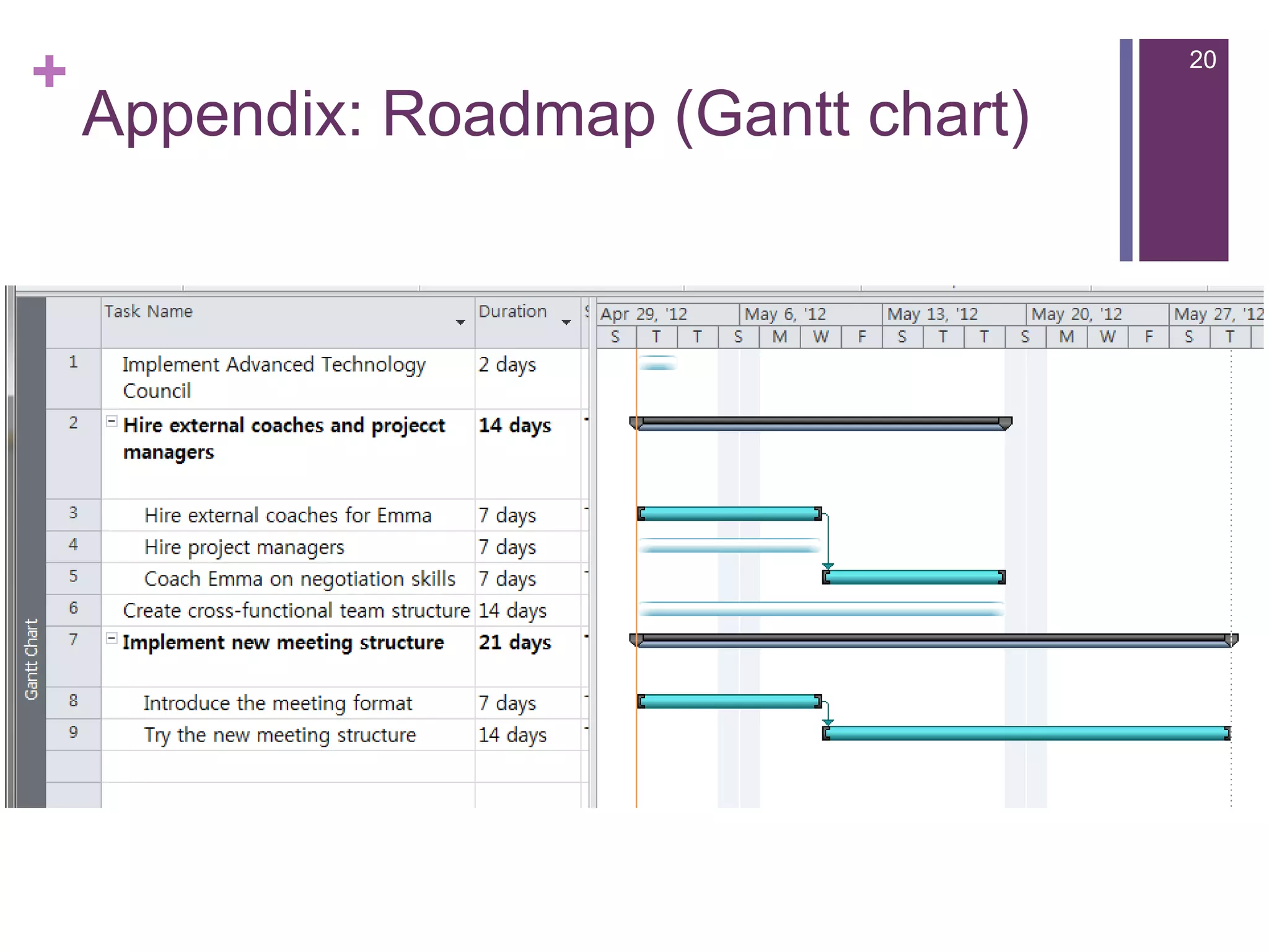+                                     20

    Appendix: Roadmap (Gantt chart)
 