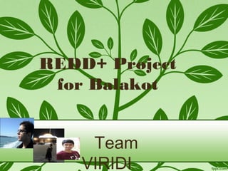 REDD+ Project
 for Balakot


     Team
    VIRIDI
 