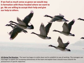 If we had as much sense as geese we would stay
in formation with those headed where we want to
go. We are willing to accep...